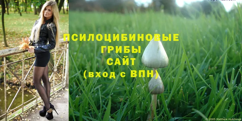 Псилоцибиновые грибы MAGIC MUSHROOMS  Пыталово 