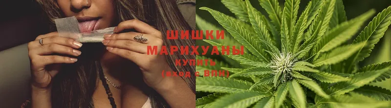 Бошки марихуана OG Kush  Пыталово 